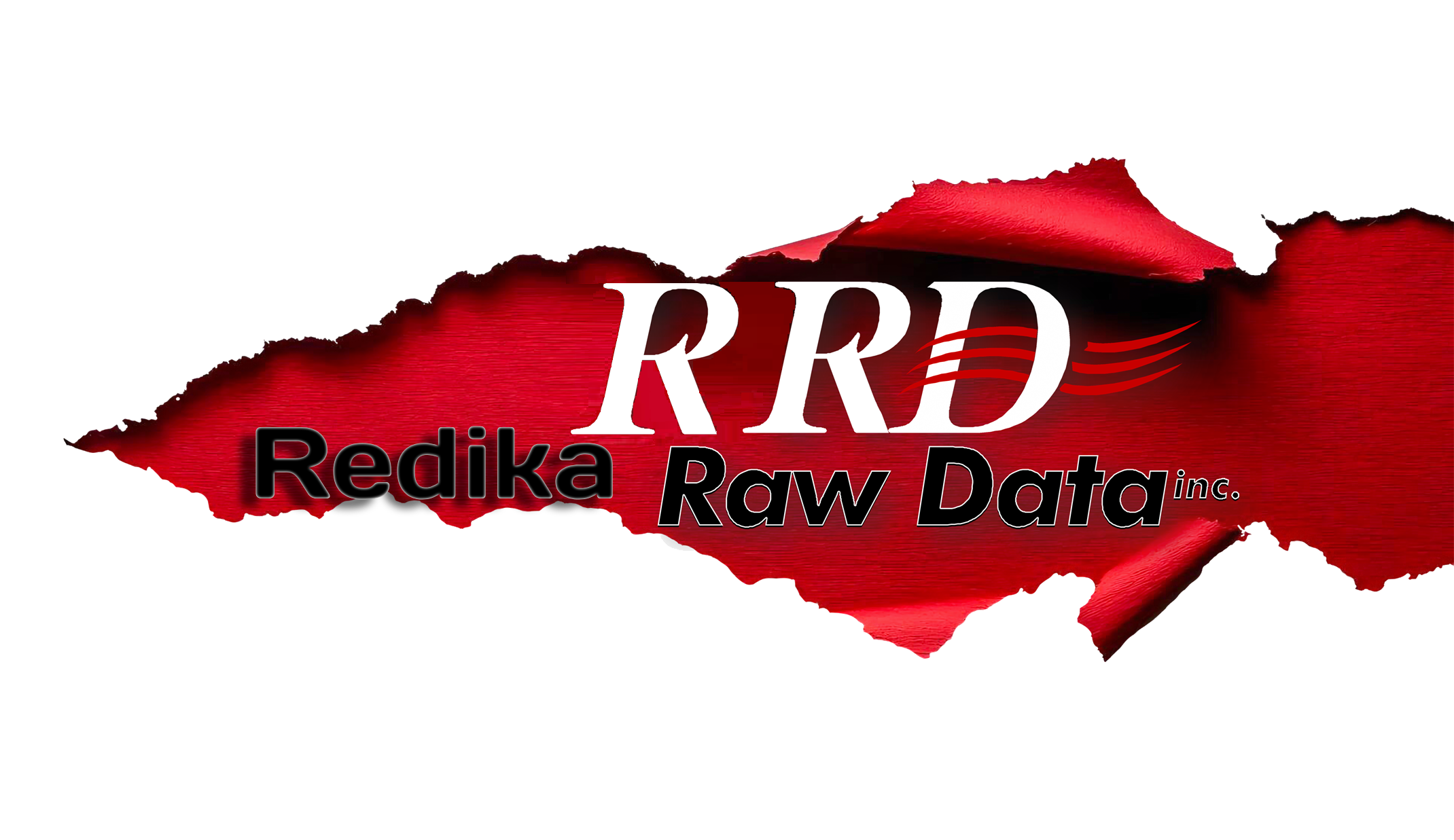 Reidka Raw Data Logo